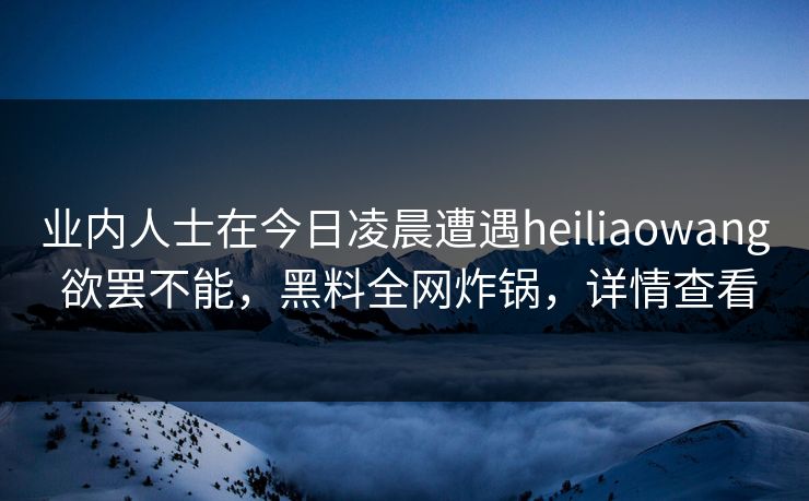 业内人士在今日凌晨遭遇heiliaowang 欲罢不能，黑料全网炸锅，详情查看